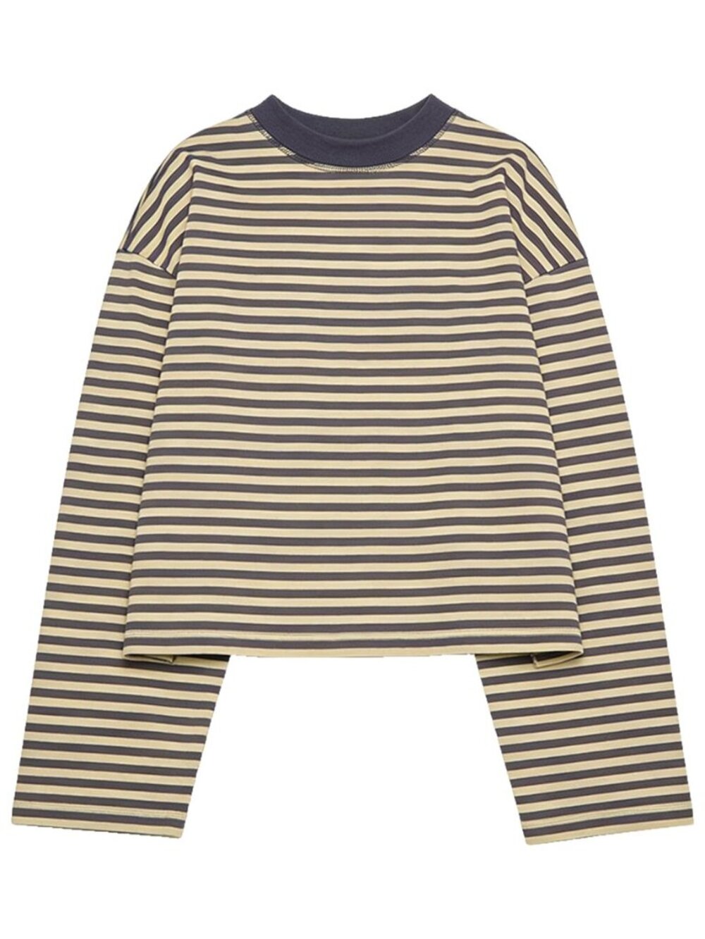 Striped Bloom Long Sleeve Shirt for Women Boxy Tee Top Streetwear